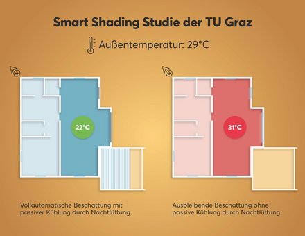 WOUNDWO News Grafik Temperaturvergleich